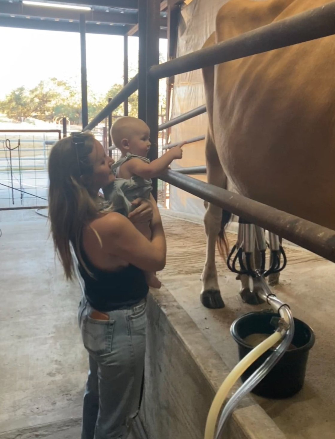 Raw Milk by the Gallon